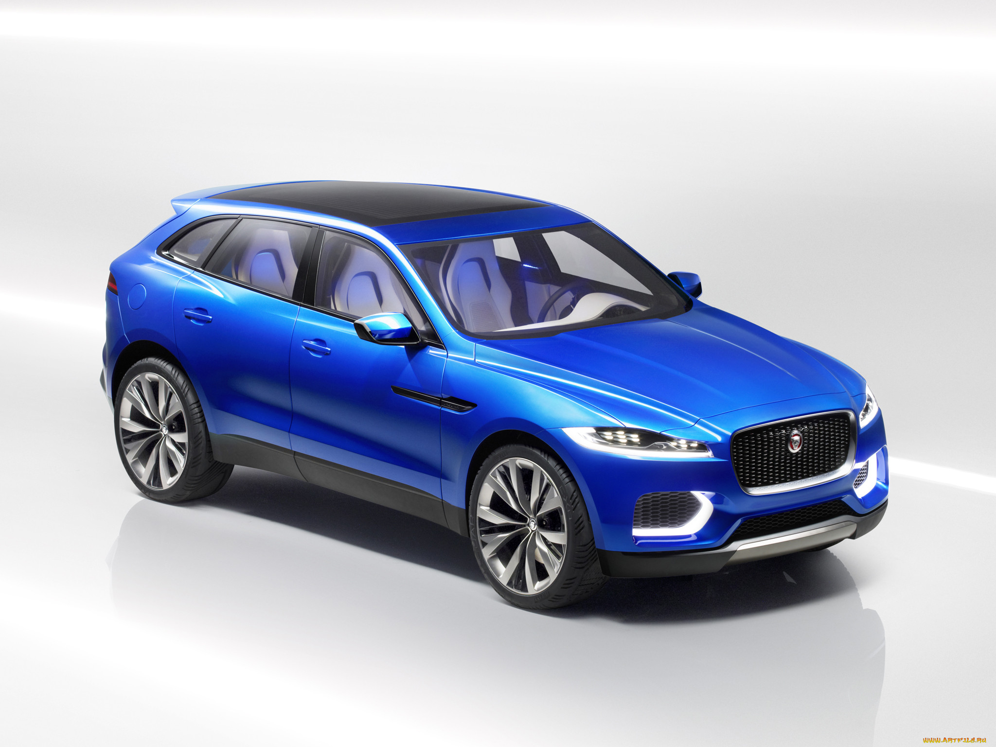 , jaguar